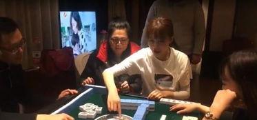 打牌的视频,一局精彩绝伦的打牌对决