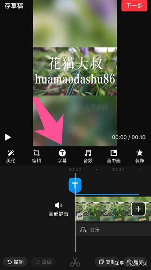 手机上视频剪辑,捕捉精彩瞬间，展现生活魅力