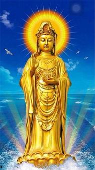 拜观音宝忏的视频,虔诚祈福，心灵净化之旅