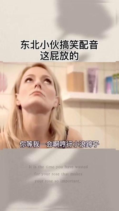 屁视频,趣味横生的短视频现象解析