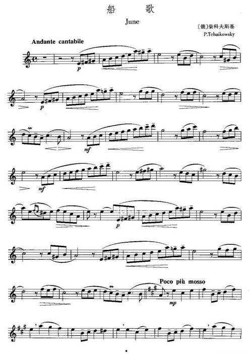 倪一珍长笛教学视频全集,系统解析长笛演奏技艺与技巧