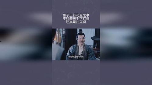 行苟且之事视频,视频背后的真相与反思