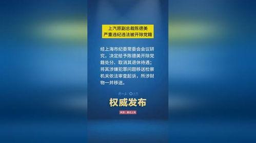法律知识视频,解读法律要点与案例分析