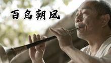 唢呐百鸟朝凤视频大全,唢呐名曲背后的传奇故事与精彩演绎