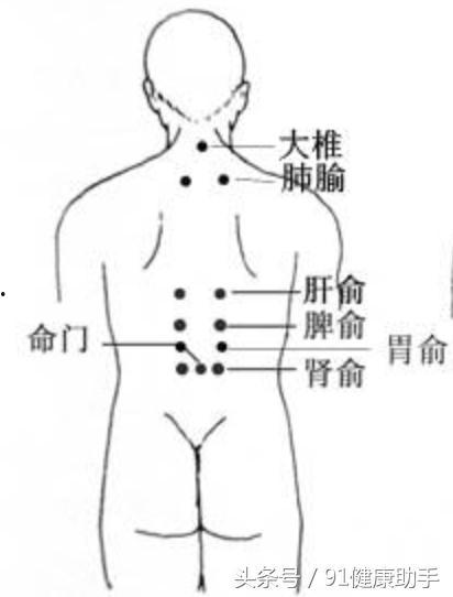 肺俞穴视频,呼吸系统保健的养生要穴