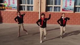 韵律操视频,活力四溢——跟随韵律操视频感受健康魅力