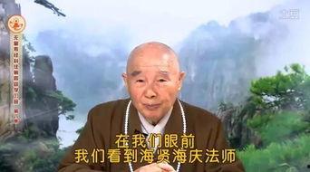 海贤老和尚的光碟视频,禅宗智慧与人生哲理