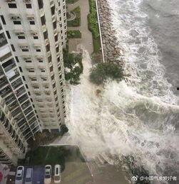 天鸽台风视频珠海,惊心动魄的救援与重建历程