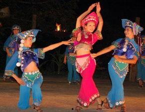 彝族舞蹈视频大全独舞